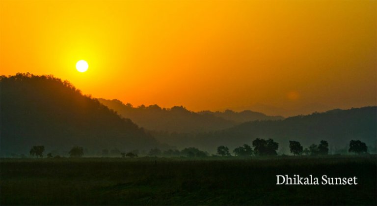 Jim Corbett national park India largest tiger reserve Dhikala forest zone Dhangri gate how to rech Jim corbett best time to visit JIm Corbett Jim COrbett Attractions Tiger sightings  animals wildlife photography 