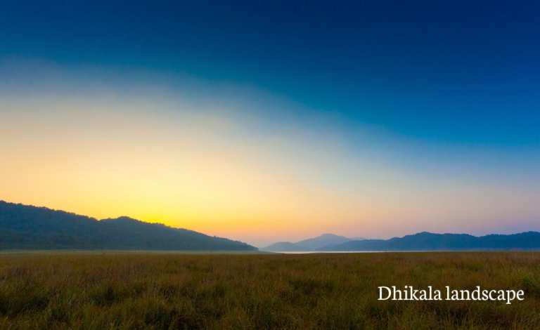 Jim Corbett national park India largest tiger reserve Dhikala forest zone Dhangri gate how to rech Jim corbett best time to visit JIm Corbett Jim COrbett Attractions Tiger sightings animals wildlife photography flora fauna birds at Jim corbet natural park jim corbett hotels best resorts lodge at Jim Corbett