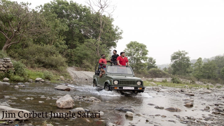 Jim Corbett national park India largest tiger reserve Dhikala forest zone Dhangri gate how to rech Jim corbett best time to visit JIm Corbett Jim COrbett Attractions Tiger sightings animals wildlife photography flora fauna birds at Jim corbet natural park jim corbett hotels best resorts lodge at Jim Corbett