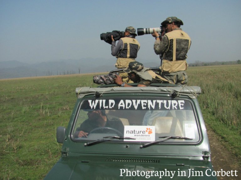 Jim Corbett national park India largest tiger reserve Dhikala forest zone Dhangri gate how to rech Jim corbett best time to visit JIm Corbett Jim COrbett Attractions Tiger sightings  animals wildlife photography flora fauna birds at Jim corbet natural park jim corbett hotels best resorts lodge at Jim Corbett