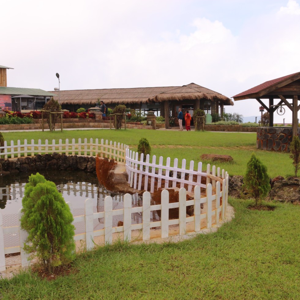 shillong cherapunji meghalya north east travel things to do what to see places to visit honeymoon destination hill station