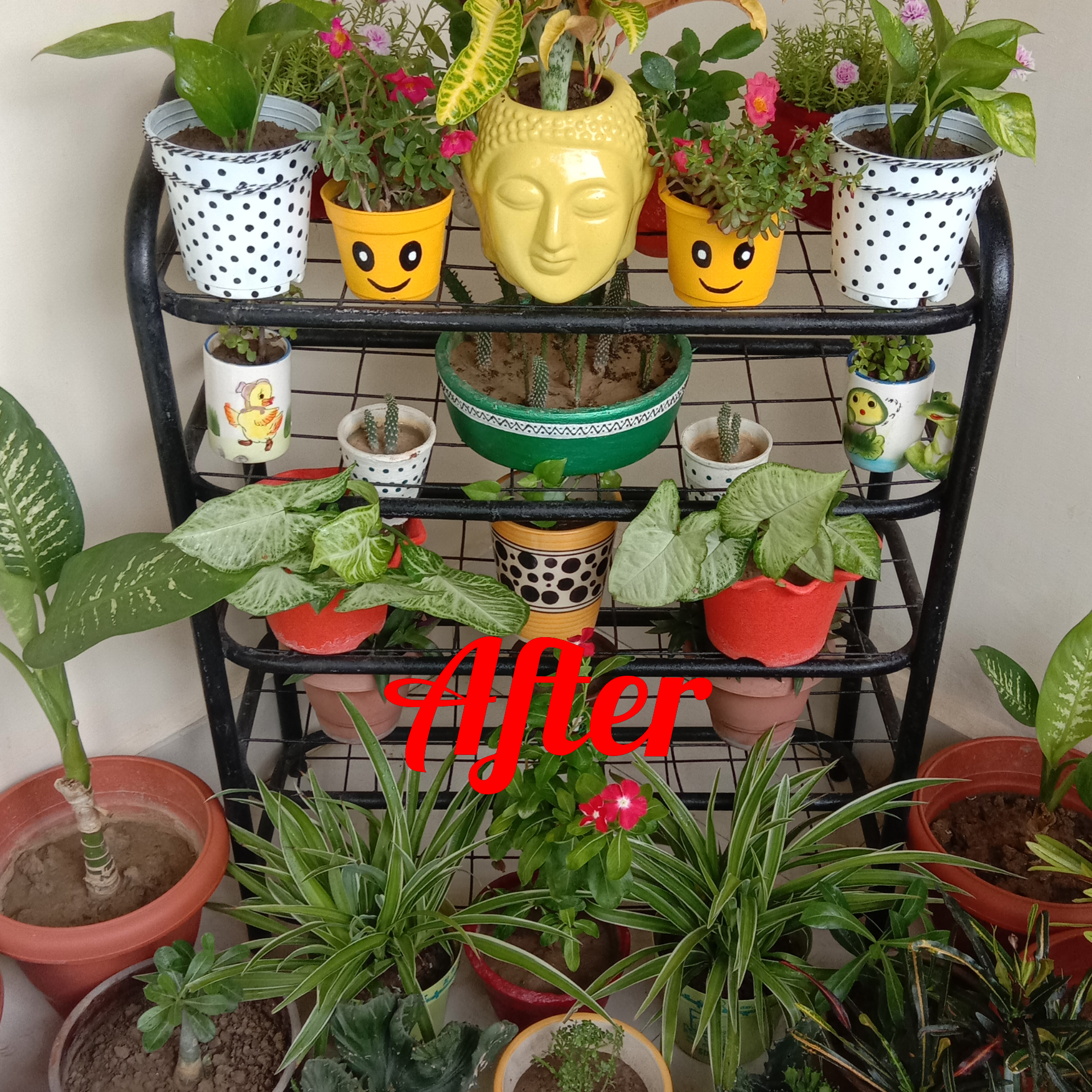 indian economic cheap living area, dining area drawing room kitchen space, wardrobe wall paining wall decor ideas eco friendly decoration aesthetic ideas sapna saini datta, home decore ideas low budget decoration house home unique ideas DIY ways to decore small apartment flat urban dwelling army wife fauji house army home MAP cantonment less space more decor simple minimal